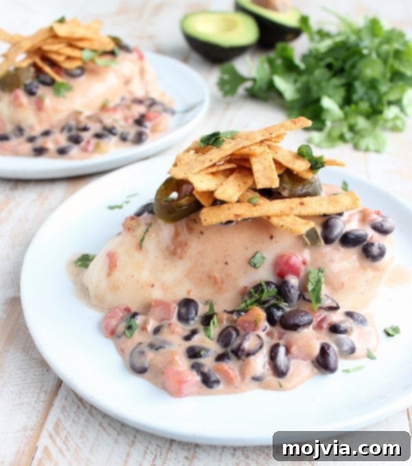 Golden Nacho Chicken Delight 8 Baked Nacho Chicken Recipe - Final Presentation