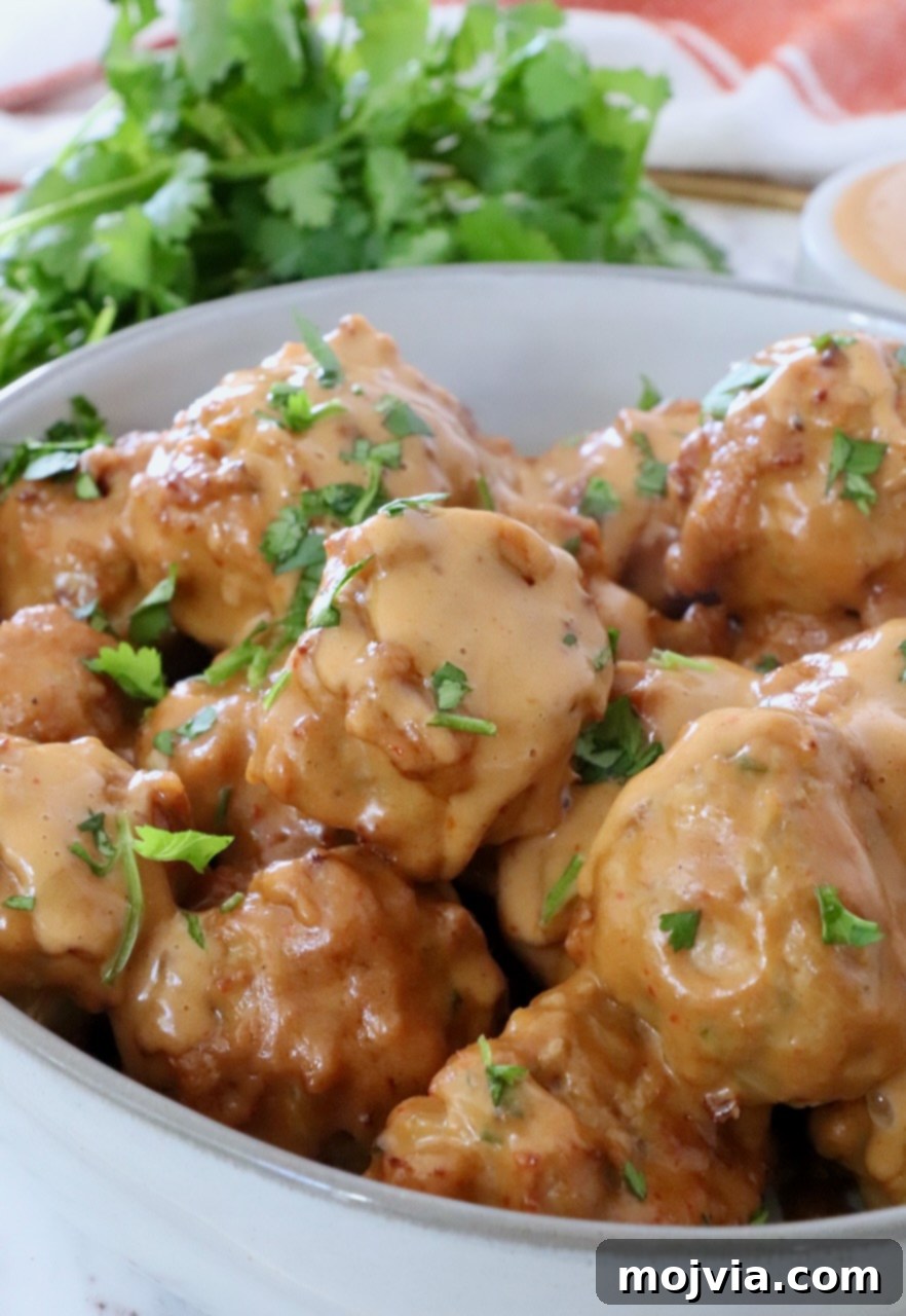 Thai Peanut Turkey Meatball Bliss 8 Meatballs coated in Thai peanut sauce in a serving bowl