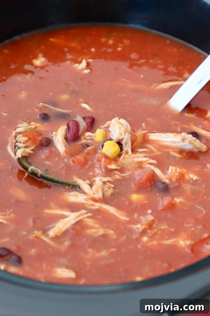 Creamy Chicken Enchilada Crockpot Feast 6 A large crock pot full of richly colored chicken tortilla soup, with a ladle resting inside, ready for serving.