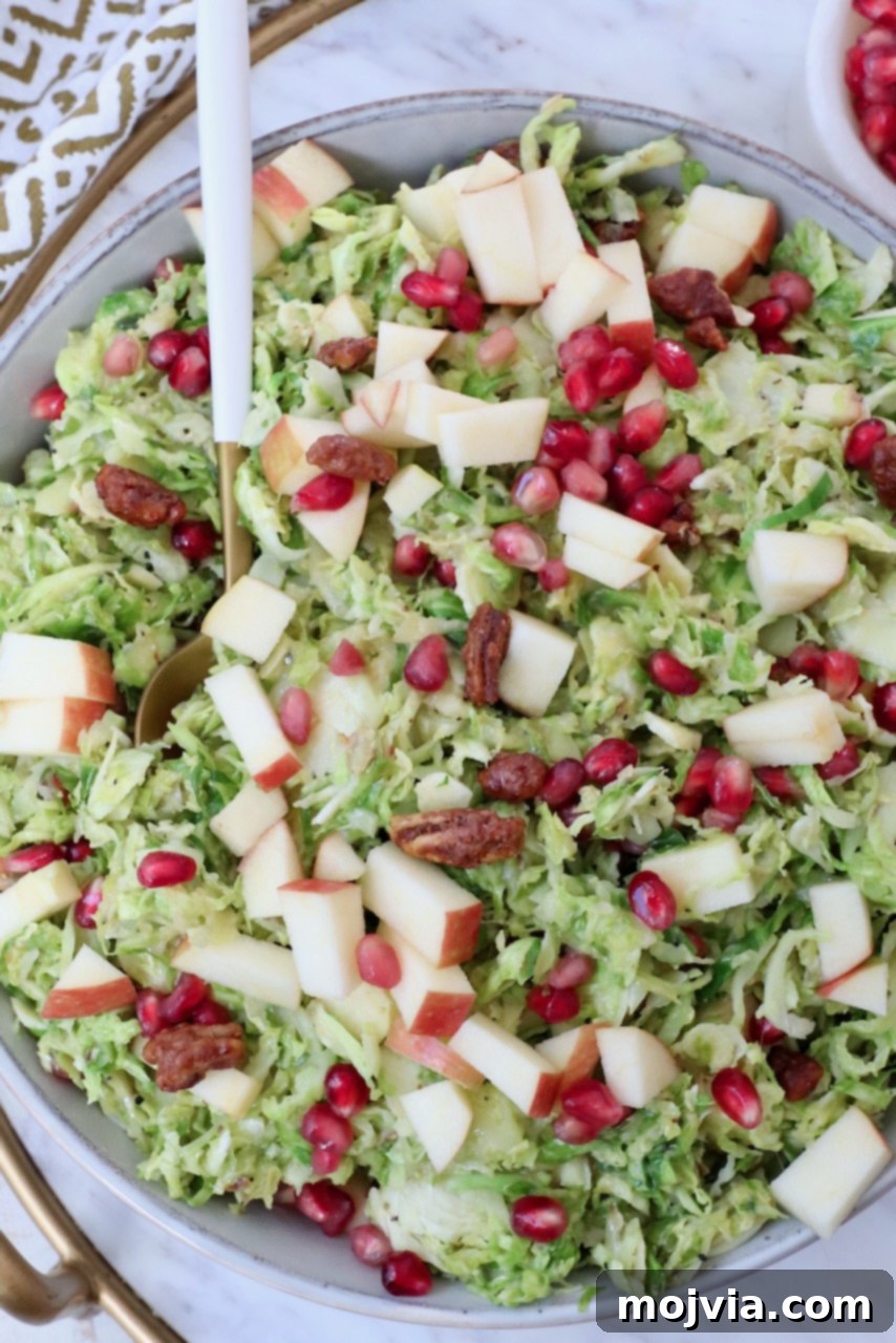 A beautifully presented shaved Brussels sprout salad in a rustic bowl, garnished with fresh pomegranate seeds and apple slices, with a serving spoon resting in it.