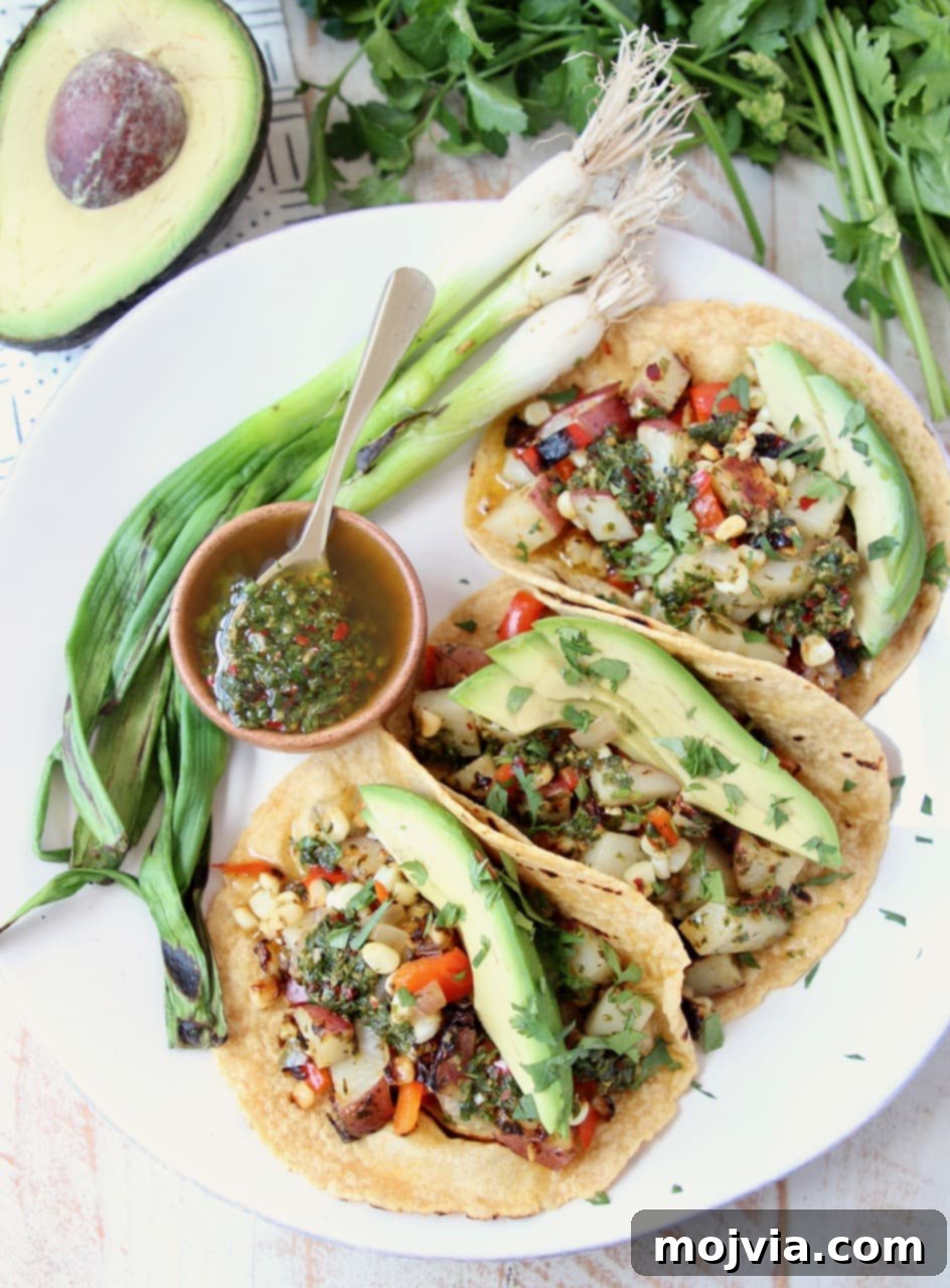 Vibrant Vegan Tacos on Corn Tortillas, brimming with perfectly Grilled Vegetables, including green onions, fresh Avocado, and a drizzle of rich Chimichurri Sauce.