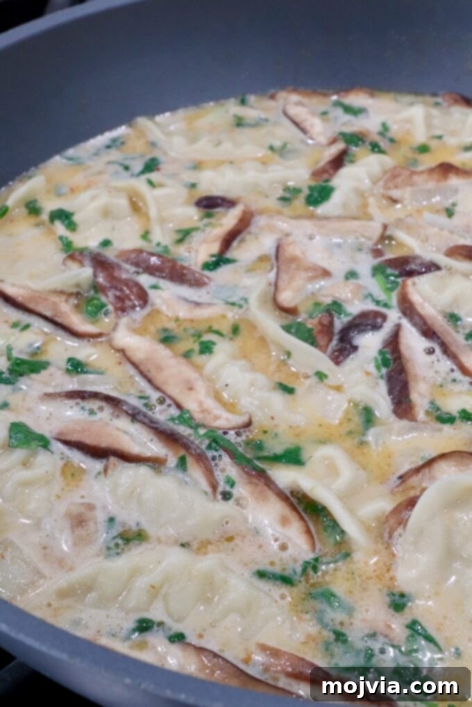 A hearty and flavorful Thai coconut broth filled with fresh cilantro, sliced shiitake mushrooms, and plump frozen potstickers, all simmering together in a large pot, nearing completion.