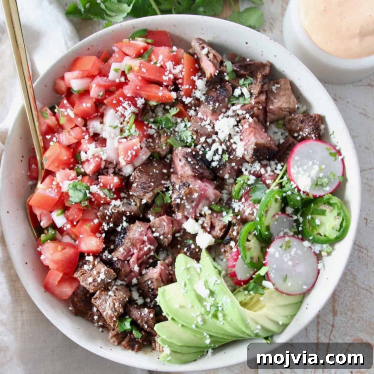 Fiesta Fresh Salsa 6 diced carne asada in bowl with avocado and pico de gallo
