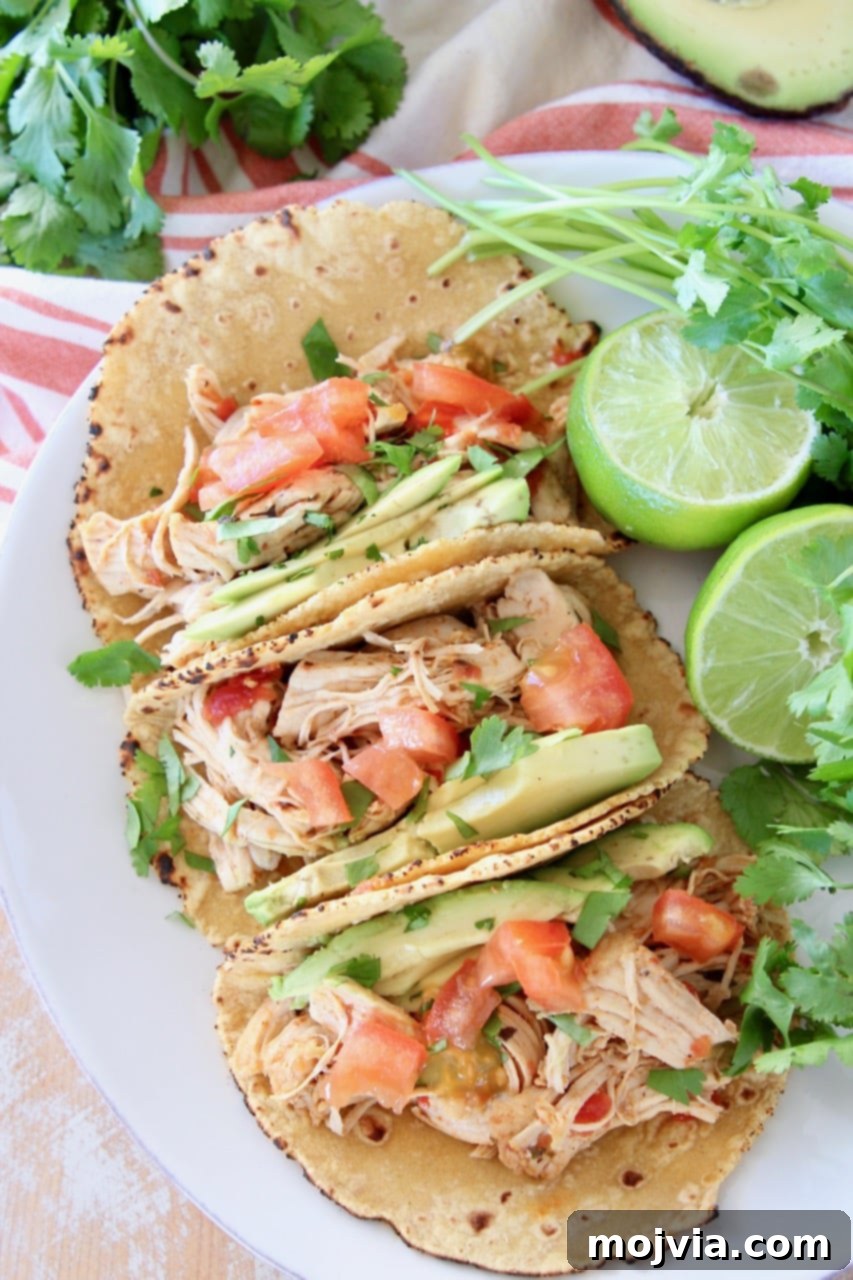Overhead shot of shredded chicken tacos in corn tortillas on white plate with cilantro and limes