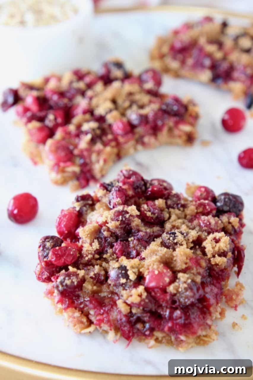 Freshly baked Oatmeal Cranberry Bars arranged on a marble serving tray, garnished with fresh cranberries, perfect for a holiday spread.