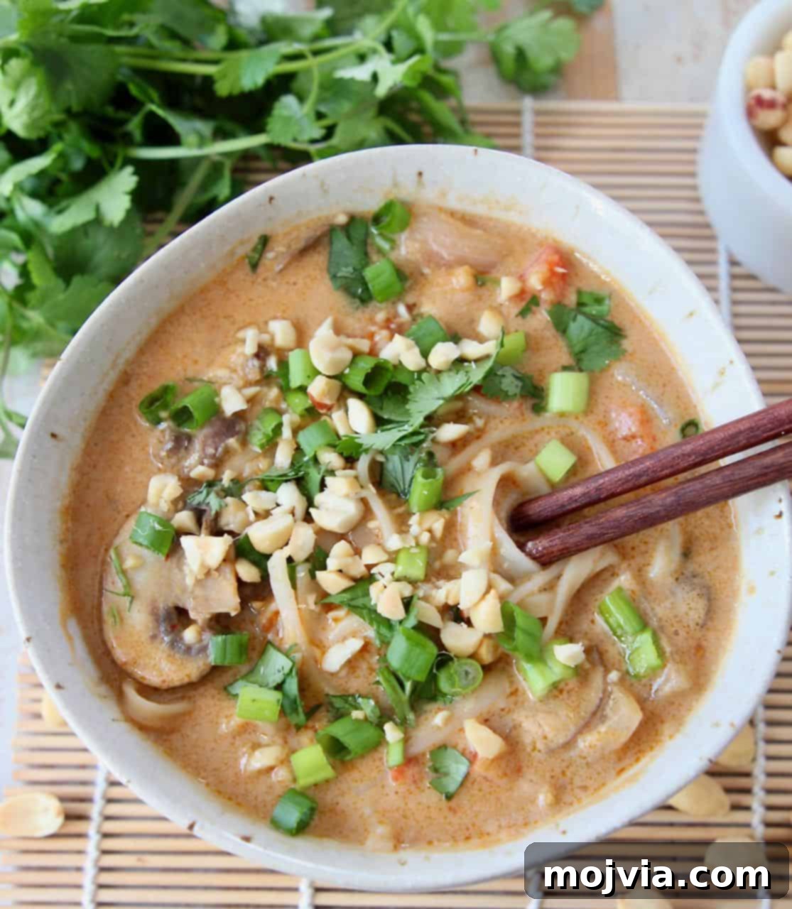 One Pot Creamy Thai Peanut Noodle Soup 2 Overhead image of a bowl of Thai noodle soup topped with diced green onions and fresh cilantro