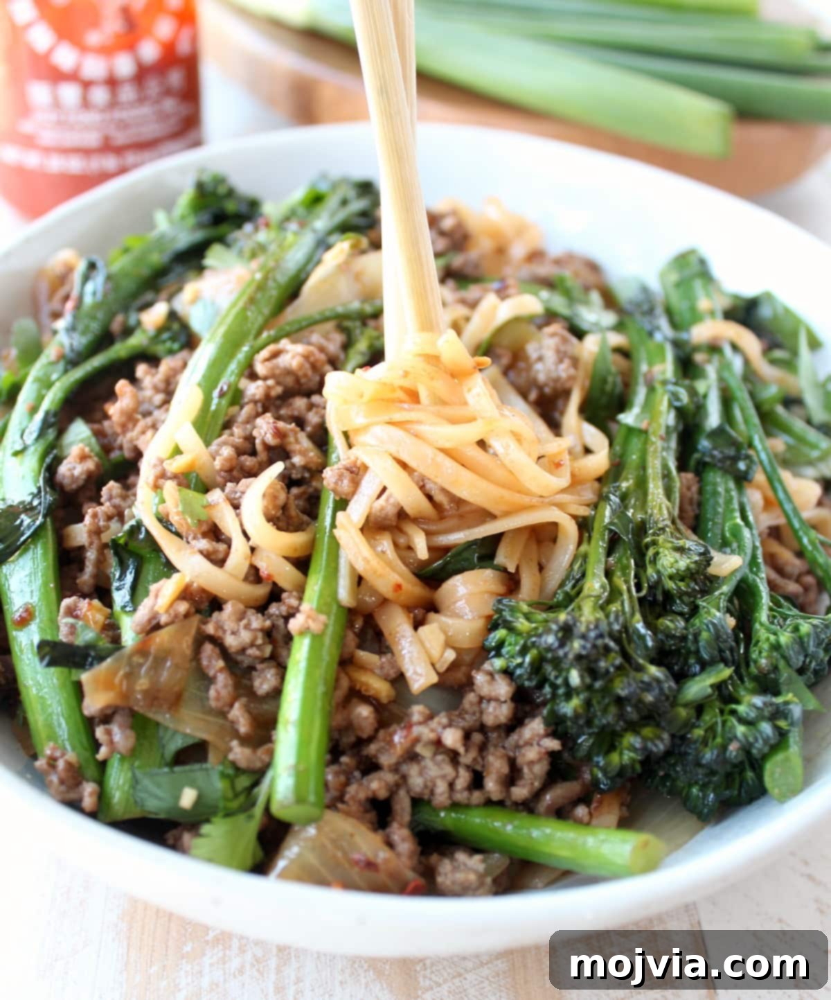 Pantry Power: Simple Recipes and Your Shopping List 10 Delicious and easy Beef and Broccoli Stir Fry Recipe