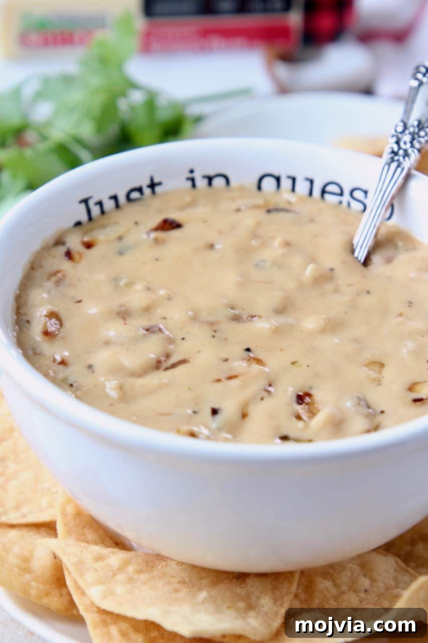 Caramelized Onion Queso Dip 2 A bowl of rich French Onion Dip Queso, garnished and ready to serve with a generous pile of crispy tortilla chips around it.