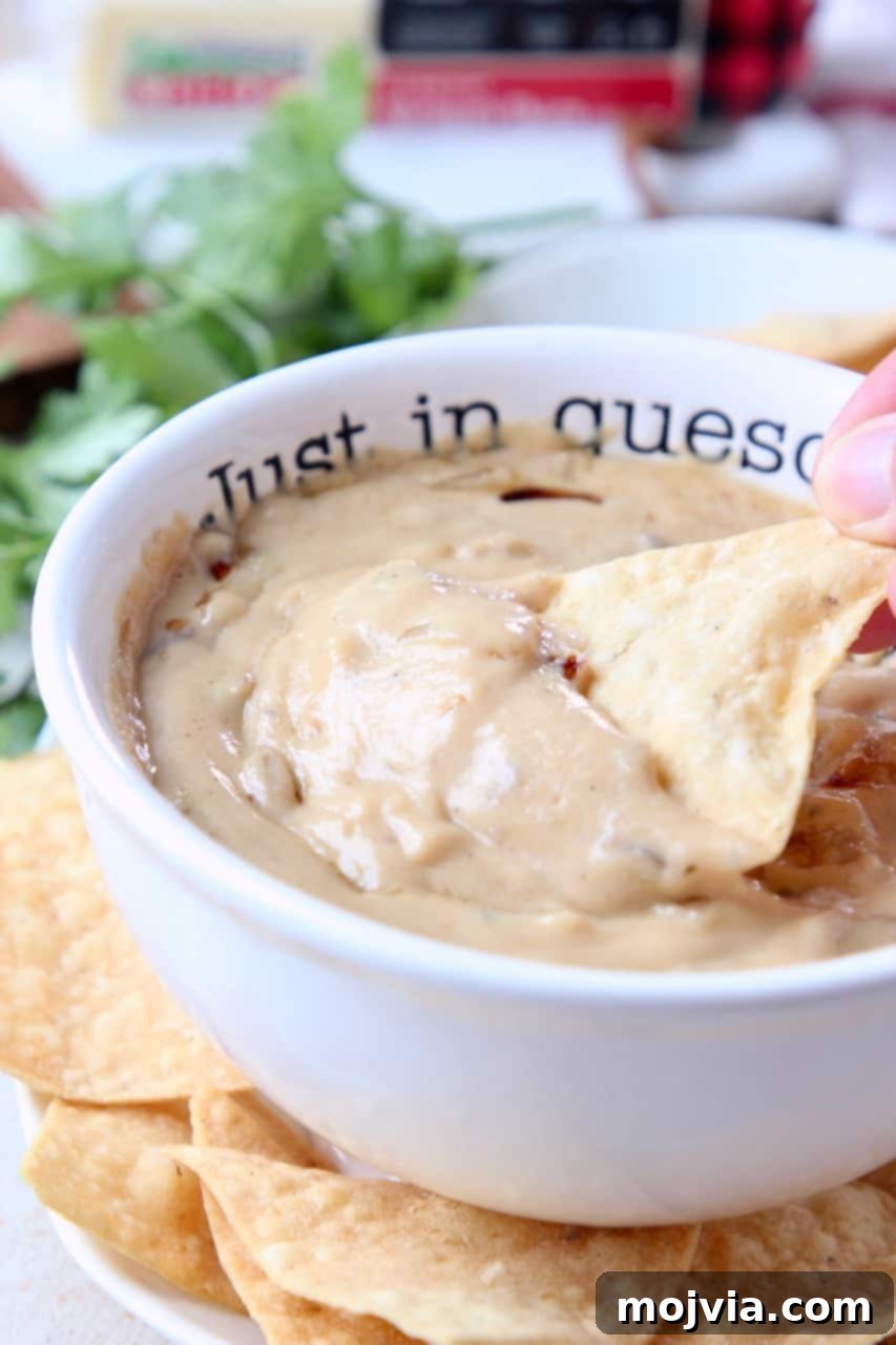 Caramelized Onion Queso Dip 4 A hand dipping a crispy tortilla chip into a bowl of French Onion Dip Queso, showing its creamy texture.