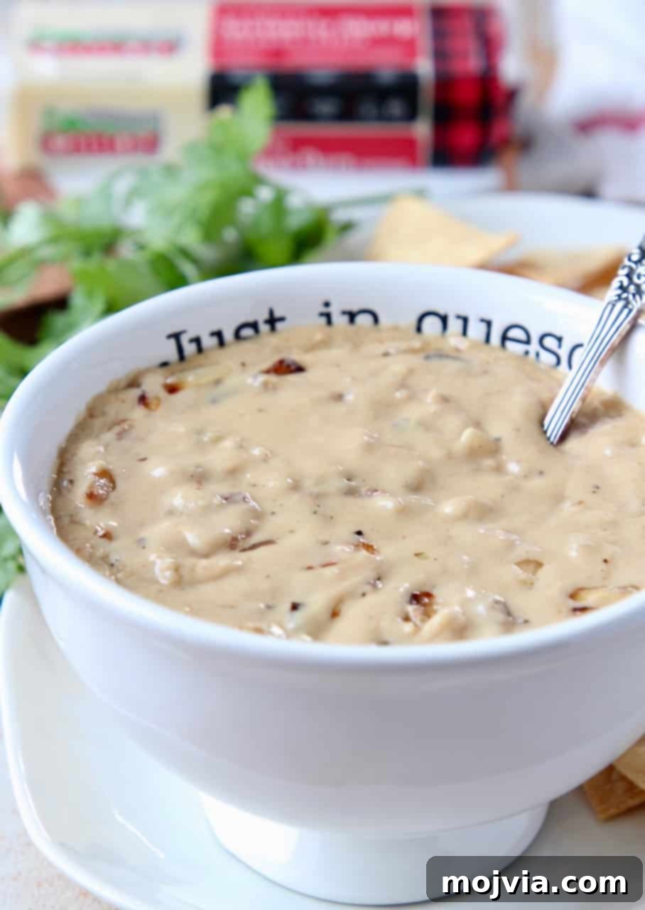 Caramelized Onion Queso Dip 5 A top-down view of French Onion Dip Queso in a bowl, with a serving spoon nestled in, highlighting its creamy, inviting texture.