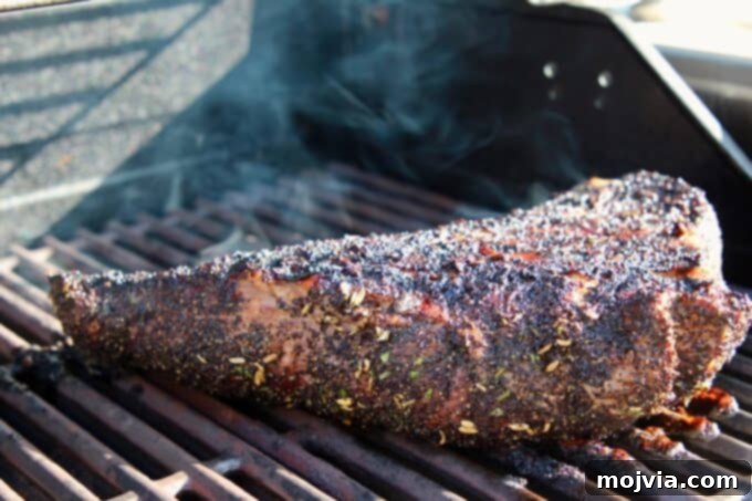 10 Game-Changing Grilling Secrets 6 A succulent Tri-tip steak cooking over indirect heat on the grill, achieving perfect tenderness and flavor.