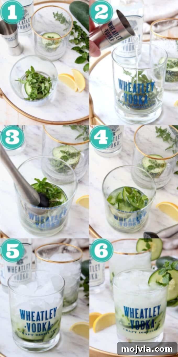 Crisp Cucumber Mint Vodka 4 Step by step instructional images showing how to make a cucumber mint vodka cocktail