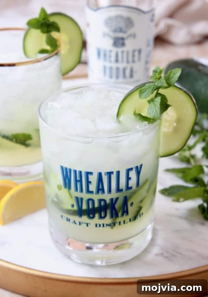 Crisp Cucumber Mint Vodka 6 Cocktail in glass with cucumber slice and mint sprig on the rim