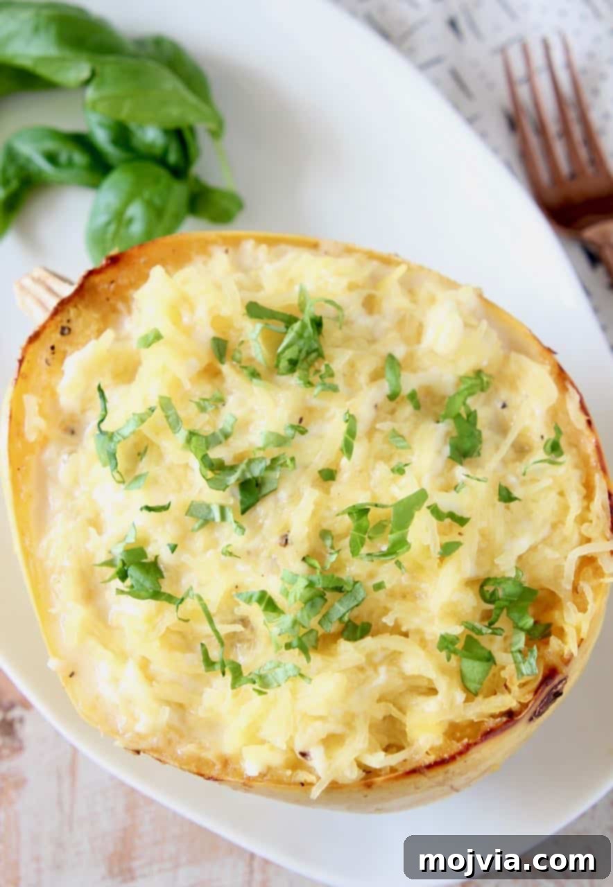 Golden Spaghetti Squash Mac and Cheese Bake 3 Roasted spaghetti squash tossed with white cheese sauce in the squash shell, ready to serve