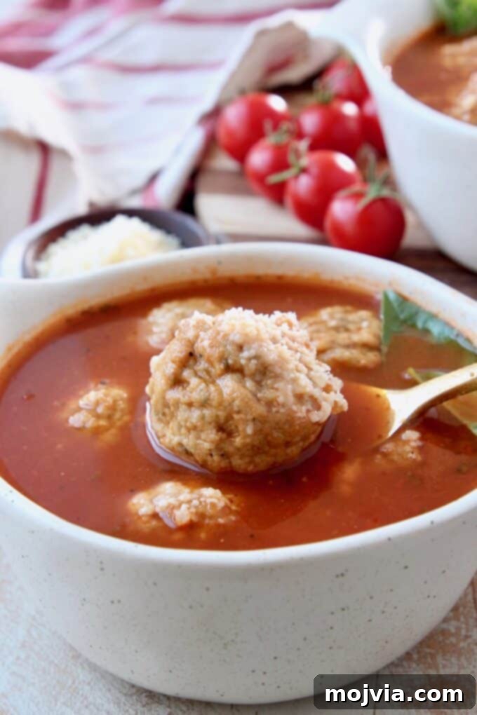 Five-Ingredient Italian Meatball Magic 4 Meatball lifted out of bowl of soup with a spoon