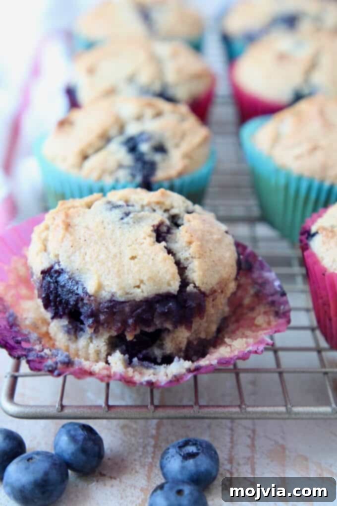 Guilt-Free Almond Blueberry Muffins 2 A perfectly baked Almond Flour Blueberry Muffin in a paper liner, resting on a wire rack, ready to be enjoyed as a low-carb breakfast treat.