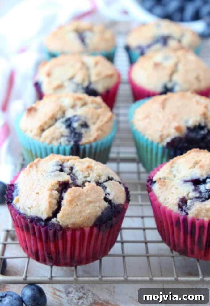 Guilt-Free Almond Blueberry Muffins 6 A cluster of freshly baked almond flour blueberry muffins arranged on a wire rack, highlighting their inviting texture and a dusting of powdered sugar.