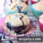 Guilt-Free Almond Blueberry Muffins 8 A single almond flour blueberry muffin in a paper liner, showcasing its golden-brown top and tender crumb.