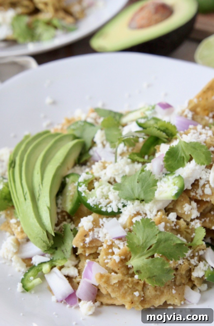 Zesty Verde Chilaquiles 6 A plate of Chilaquiles Verdes elegantly arranged with fresh cilantro, thinly sliced red onion, and creamy avocado, highlighting the vibrant colors and textures.