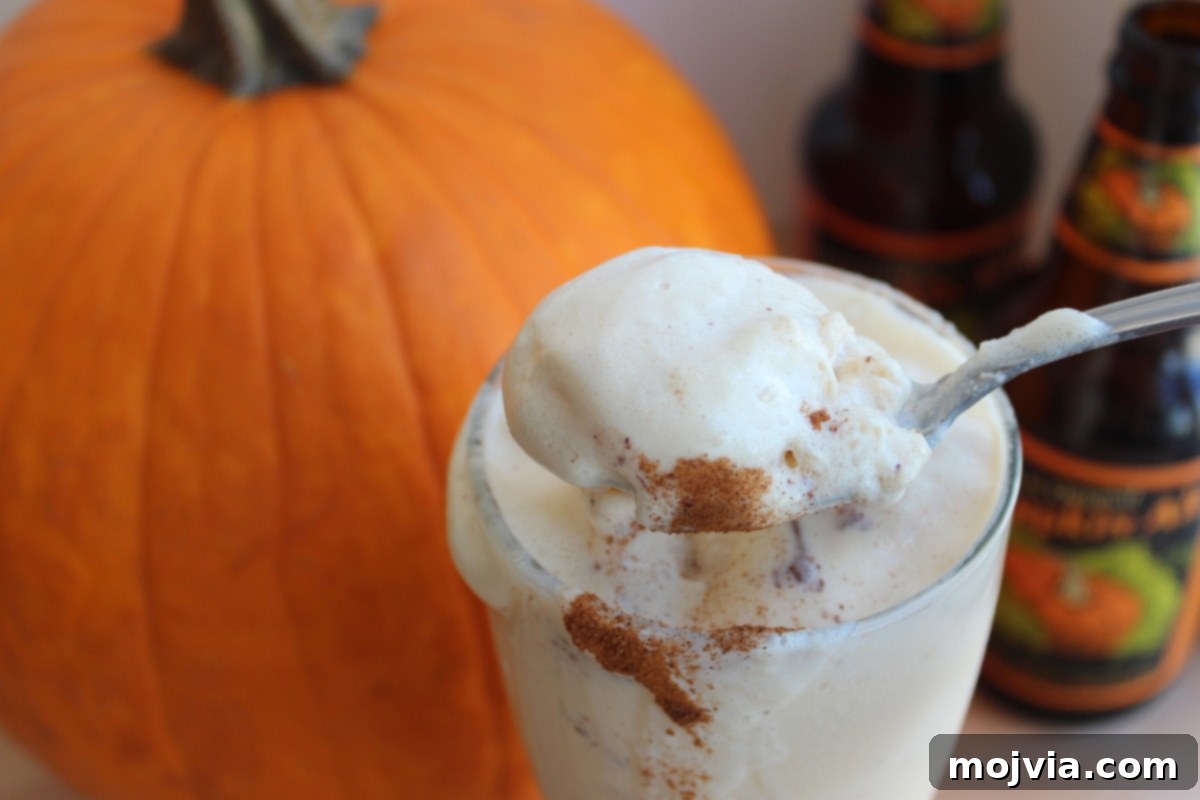 A Pumpkin Beer Float in a tall glass, ready to be enjoyed with a spoon.