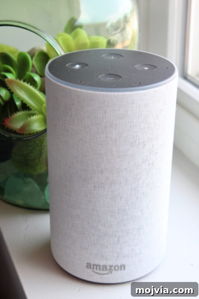 amazon alexa echo sitting on windowsill