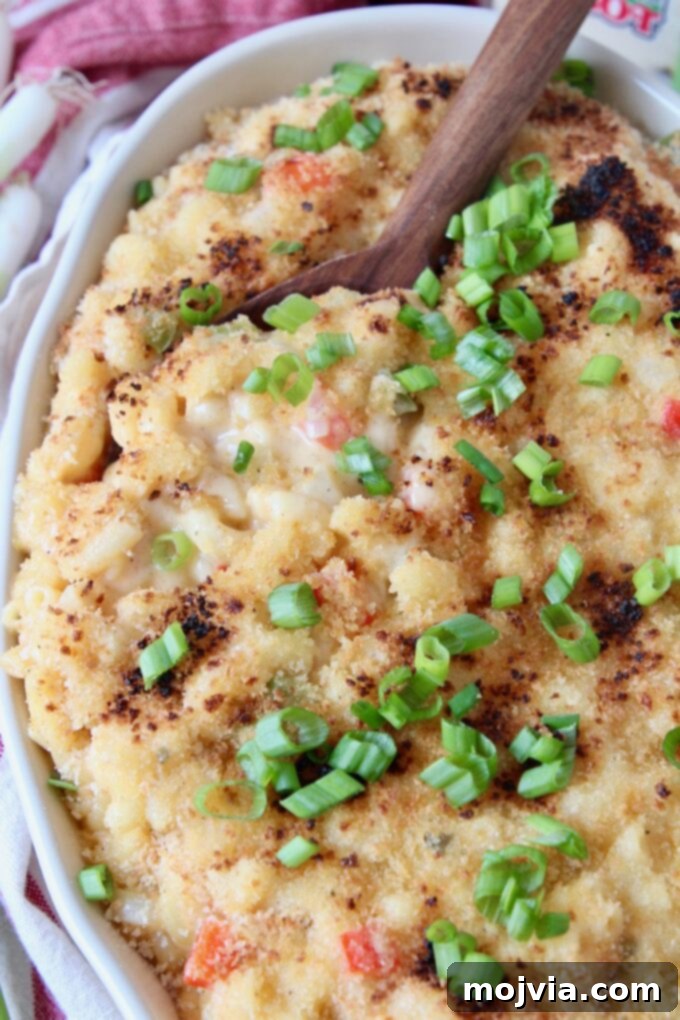 Bayou Blend Mac and Cheese 8 Baked macaroni and cheese in a dish with a serving spoon, showcasing its golden-brown topping and rich, bubbly interior.