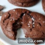 chocolate cookie topped with sea salt on plate