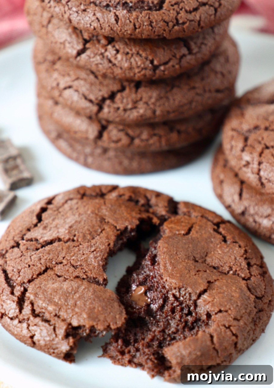 Ultimate Chocolate Treats 6 Beautifully arranged chocolate cookies on a crisp white plate, highlighting their perfectly baked texture.