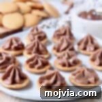 Nutella Cheesecake Delights 7 Nutella cheesecake bites arranged on a plate.