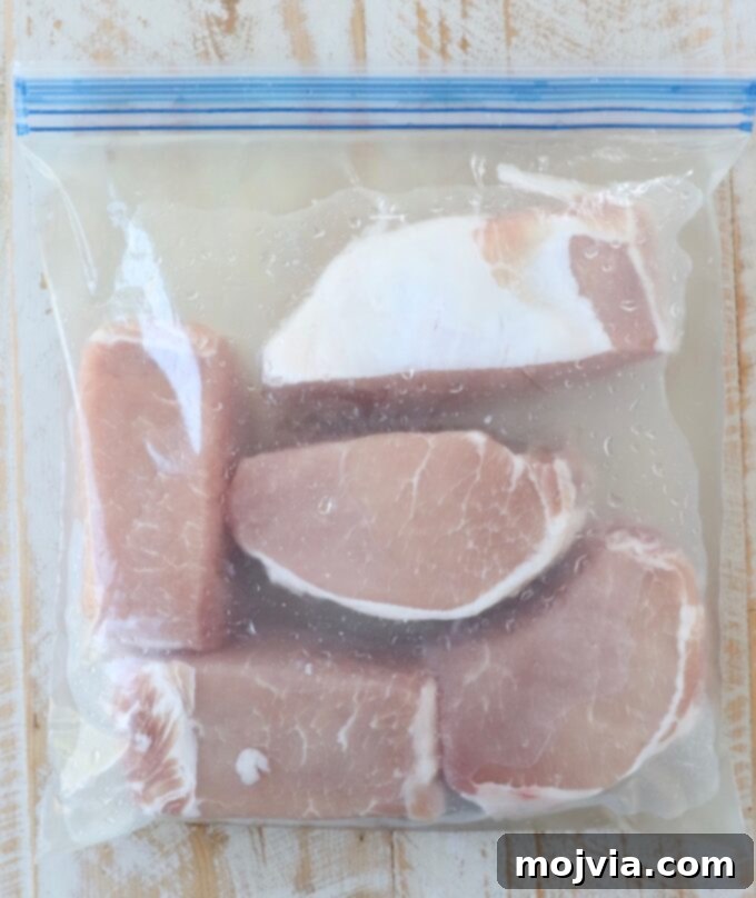 Artisan Smoked Pork Chops 4 Pork chops immersed in a salt brine within a large zipper bag, ready for refrigeration.