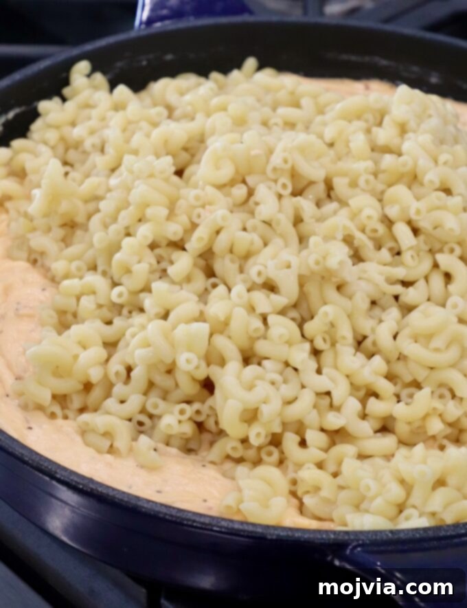 Velvet Smoke Mac 11 cooked macaroni noodles in skillet with cheese sauce