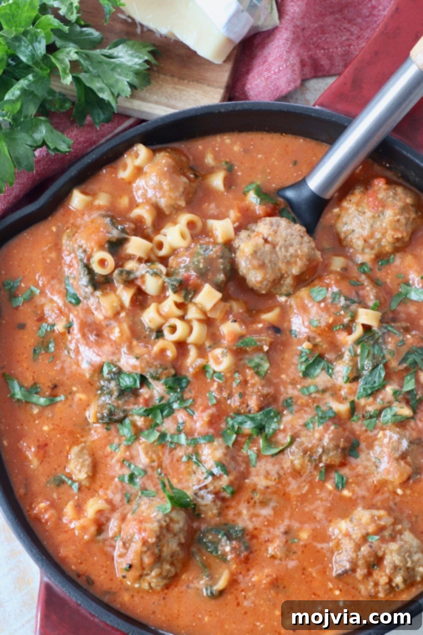 Ultimate Comfort Meatball Soup 2 meatball soup in saucepan with serving spoon