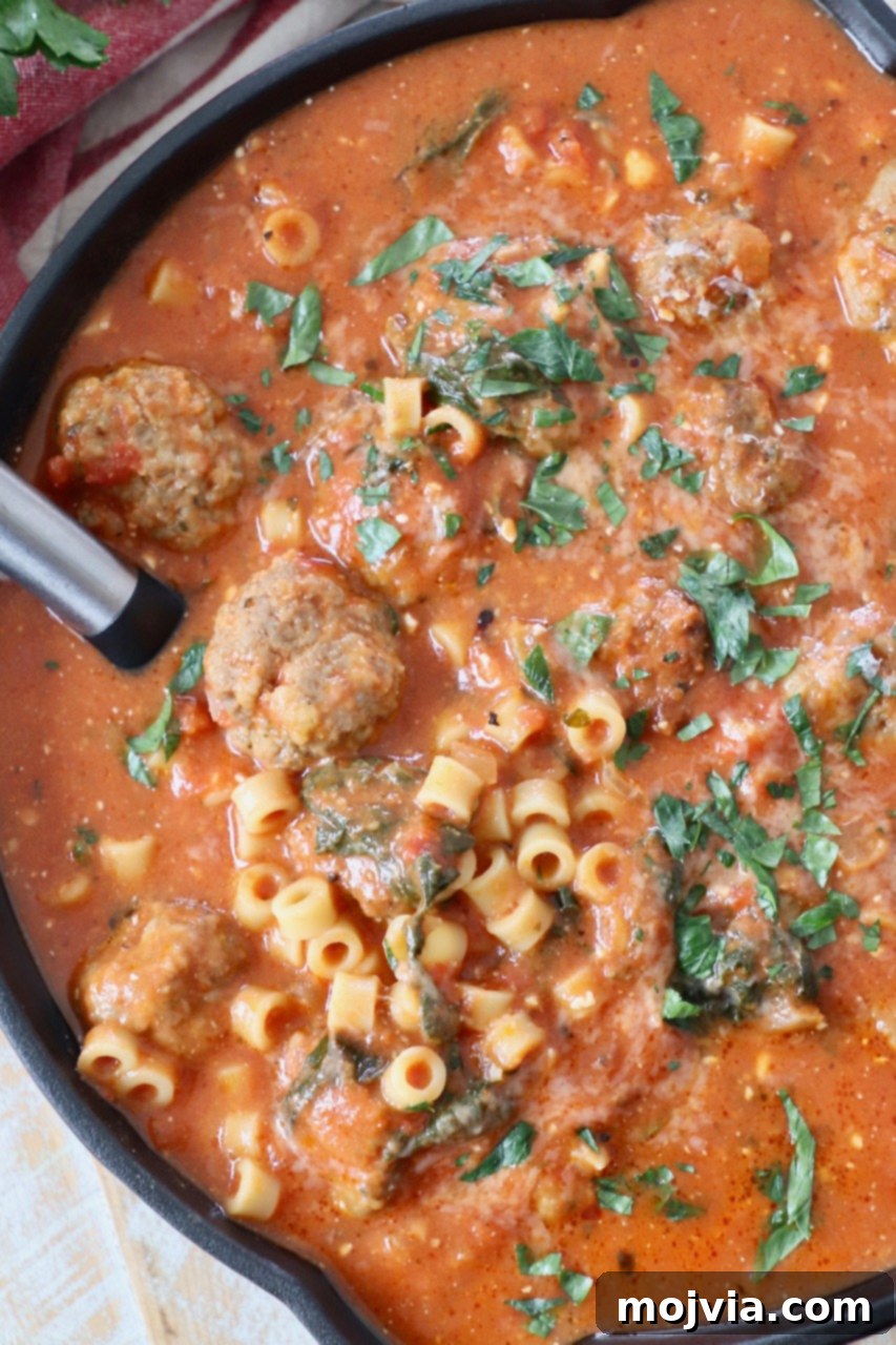 Ultimate Comfort Meatball Soup 9 meatball soup in pan with spoon