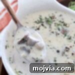 Cream of mushroom soup in spoon in bowl