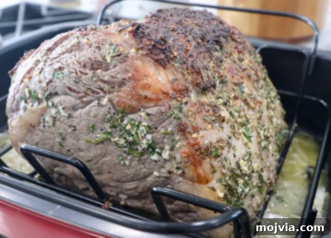 roasted prime rib in roasting pan