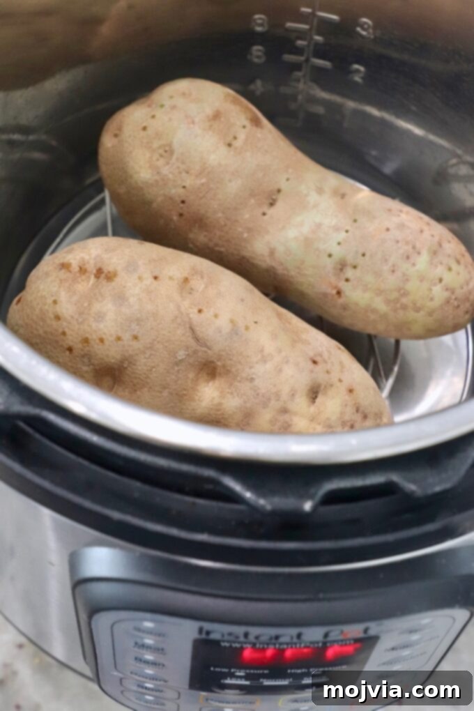 Perfect Instant Pot Baked Potatoes 3 Two large russet potatoes being placed into an Instant Pot