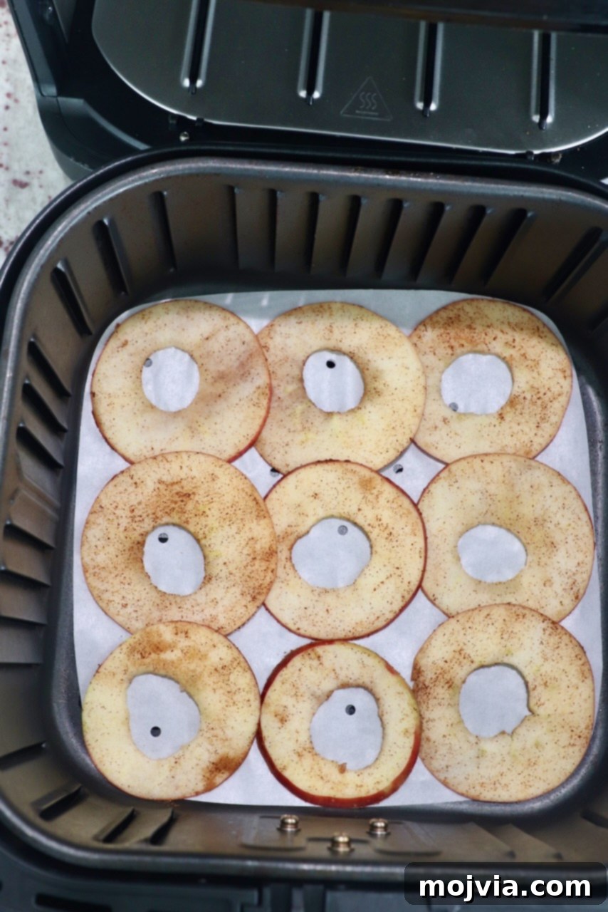 Thinly sliced apple chips arranged in a single layer within an air fryer basket, ready for cooking.