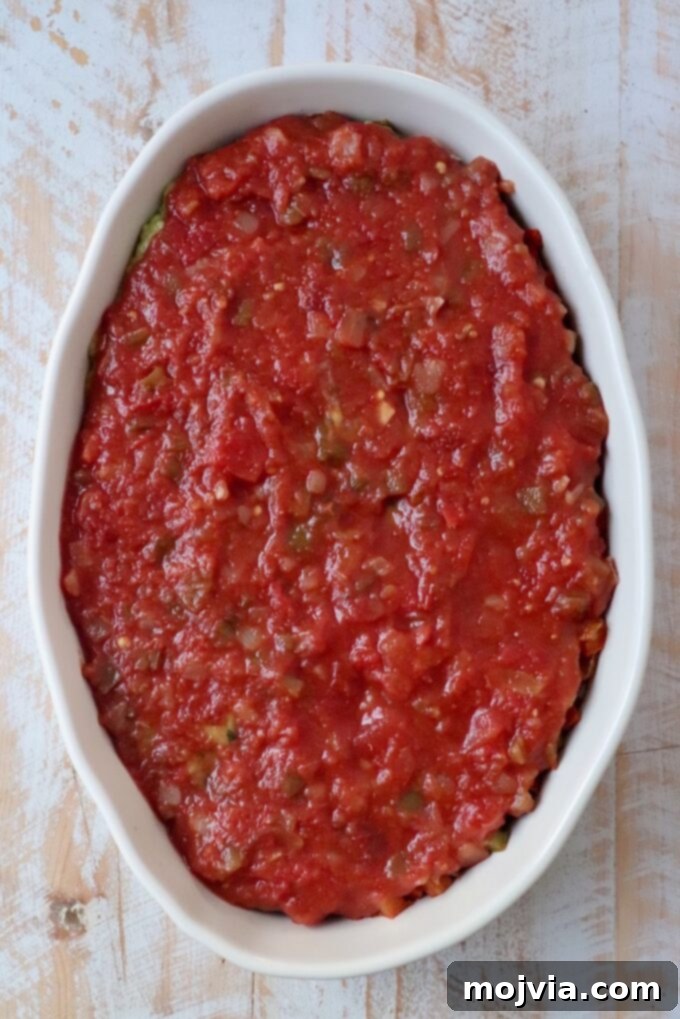 Sizzling Fajita Seven-Layer Dip 10 Chunky salsa spooned carefully over the guacamole layer
