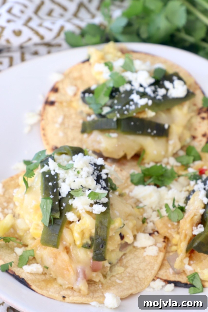 Classic Migas 8 Two Tex-Mex Migas tacos on a plate, generously topped with roasted poblano peppers, ready for a delicious breakfast.