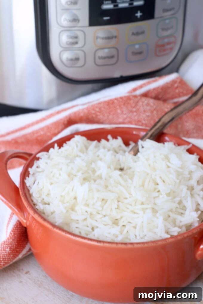 Buttery Paneer Indulgence 12 white rice in orange bowl with spoon, with Instant Pot in the background