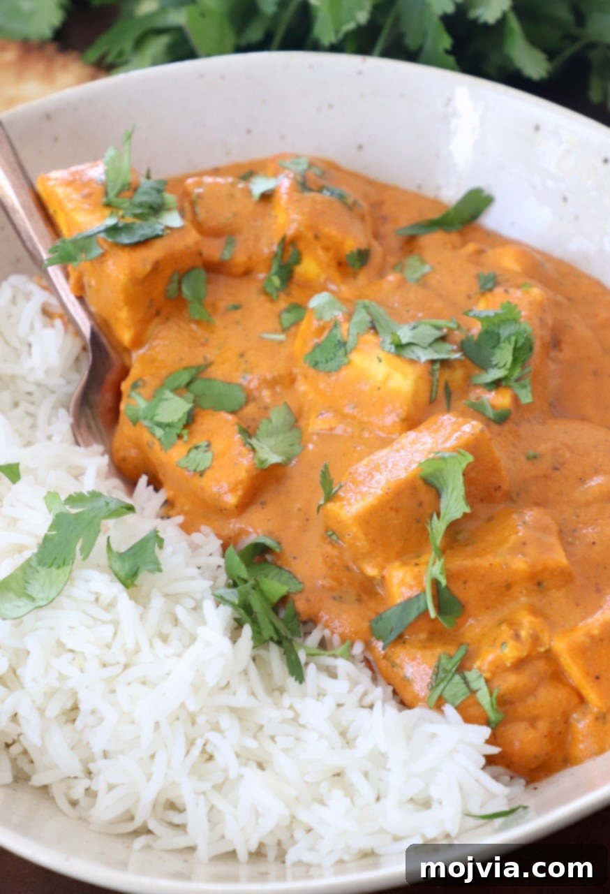 Buttery Paneer Indulgence 13 butter paneer in bowl with cooked basmati rice
