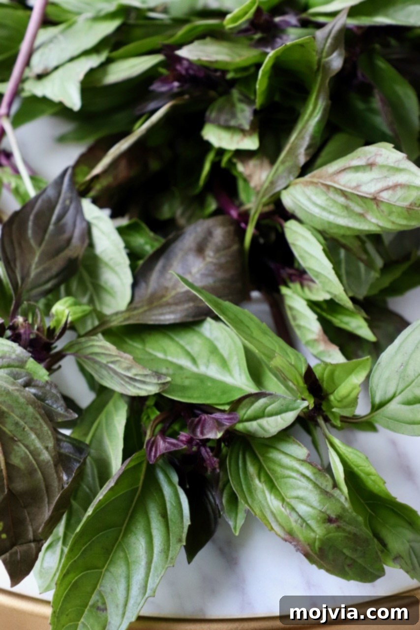 THAI BASIL: A CULINARY GUIDE 2 fresh thai basil leaves on marble tray