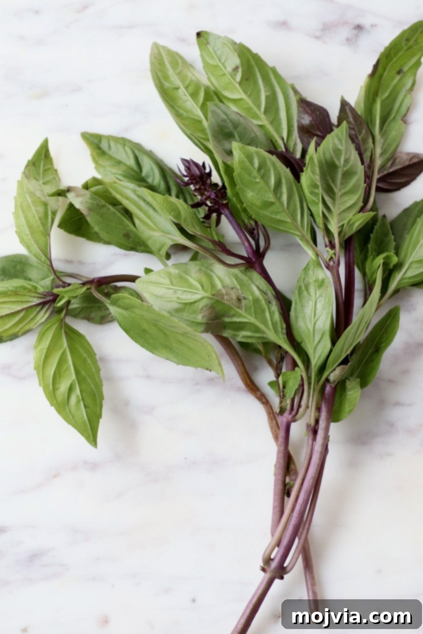 THAI BASIL: A CULINARY GUIDE 4 thai basil leaves on marble tray