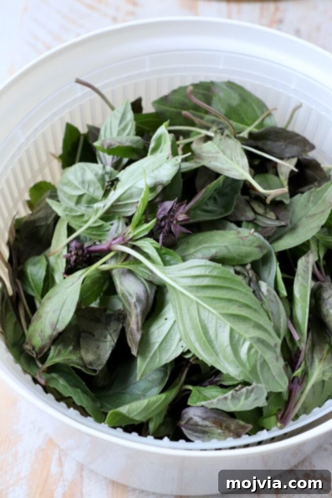 THAI BASIL: A CULINARY GUIDE 5 thai basil leaves in salad spinner
