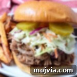 pulled pork sandwich on a plate with french fries