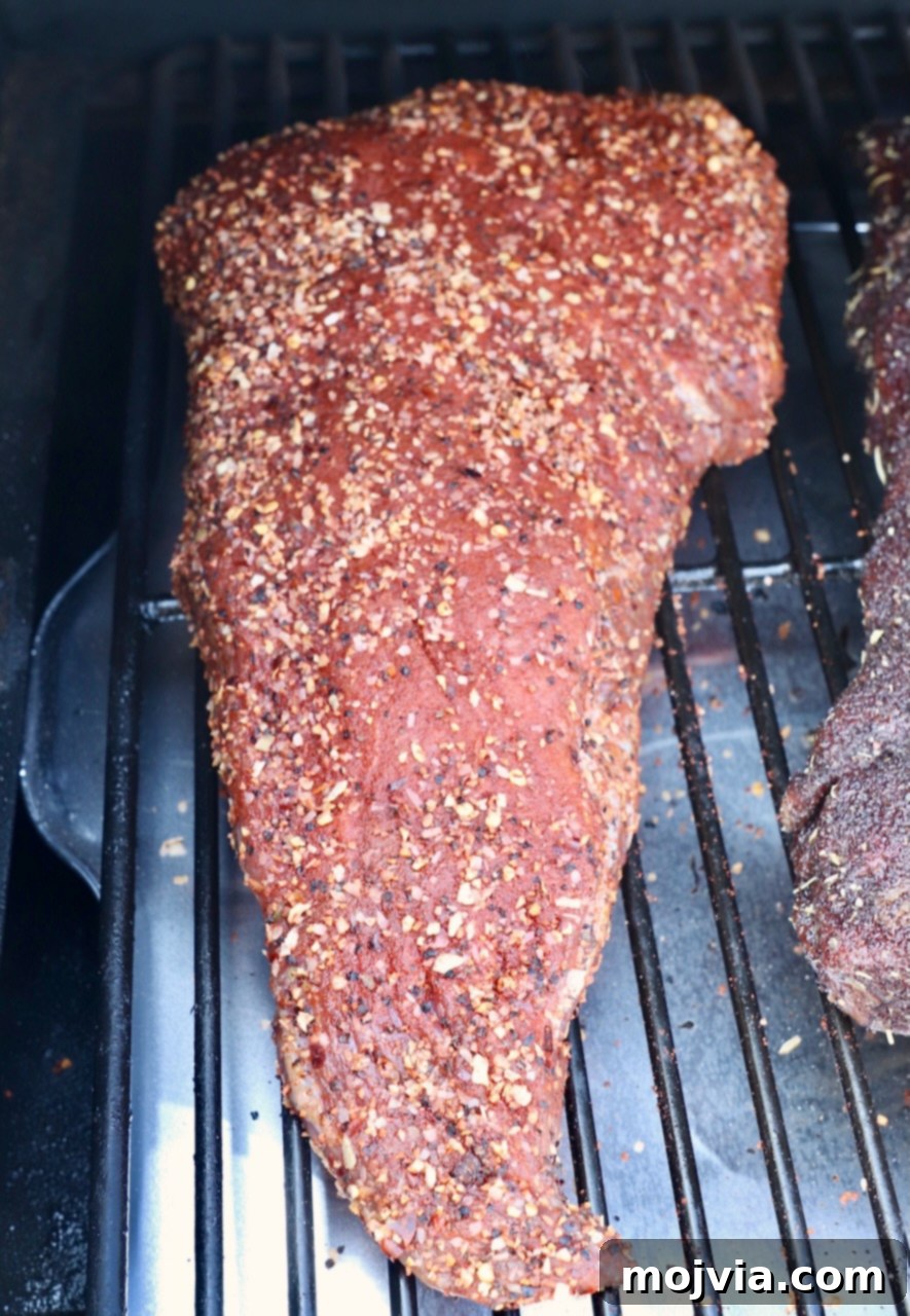 seasoned uncooked tri tip on smoker