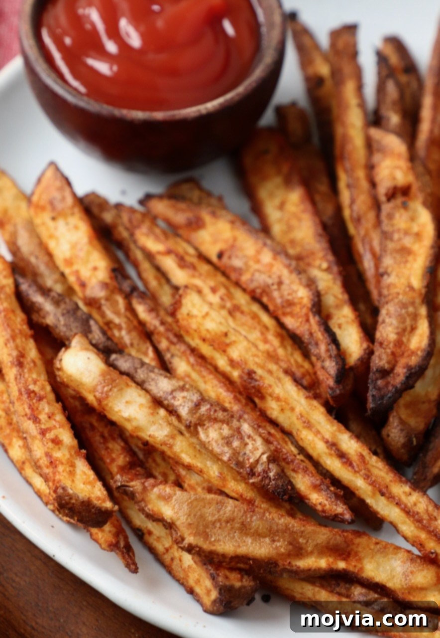 Crispy Air Fryer Fries 11 A plate of perfectly seasoned air fryer french fries, accompanied by a small bowl of classic ketchup for dipping.