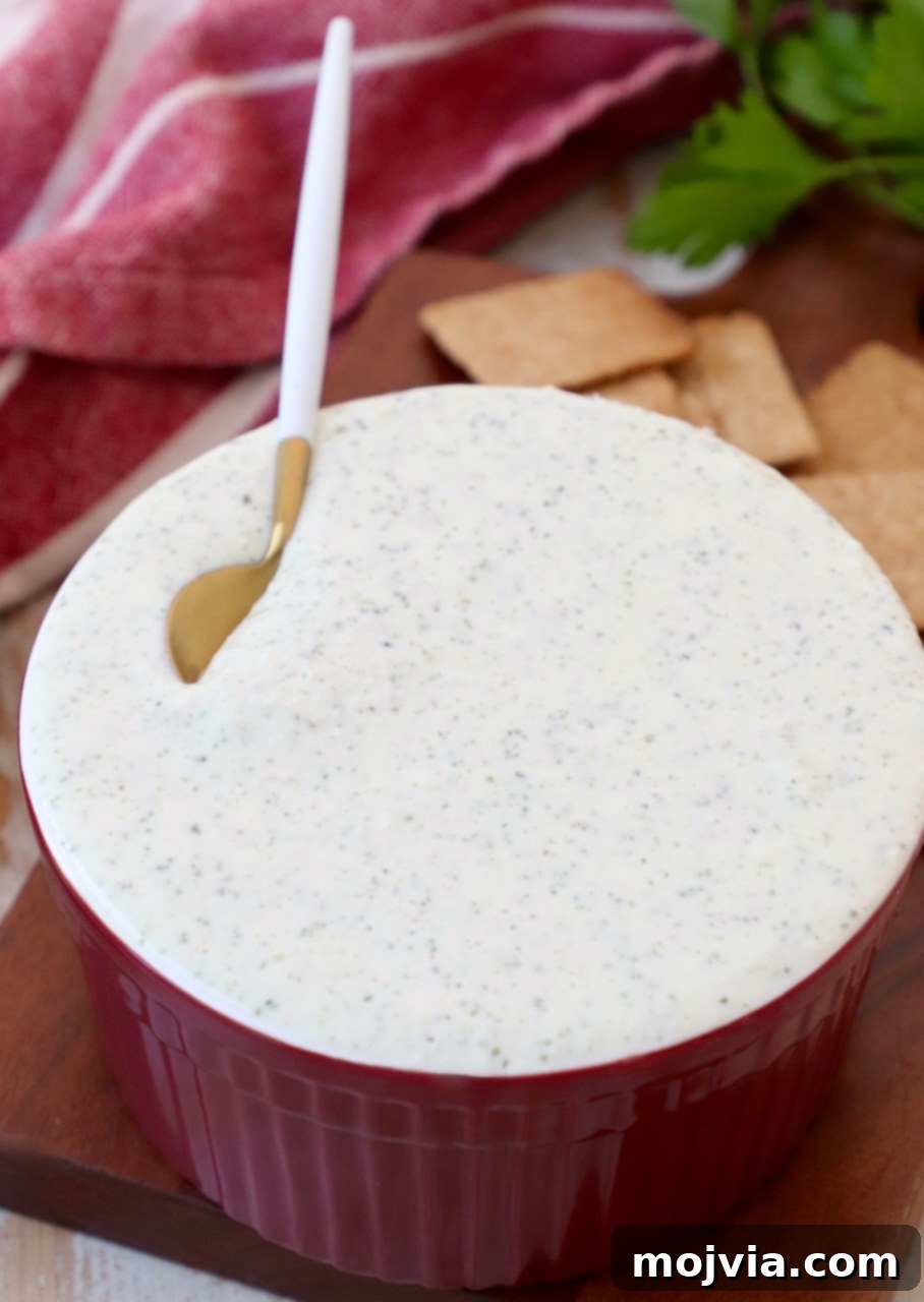 Hellenic Flavor Booster 5 creamy Greek yogurt dip in bowl with spoon
