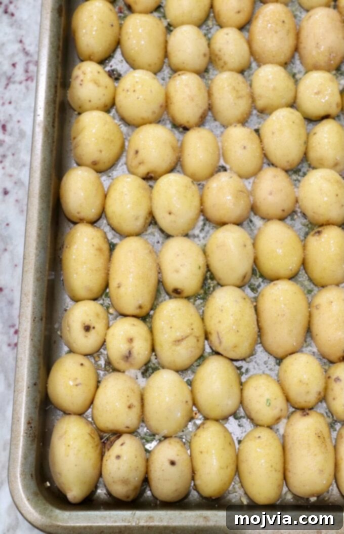 Roasted Small Potatoes 6 Baby potatoes sliced in half and arranged cut-side down on the seasoned and cheesed baking sheet.
