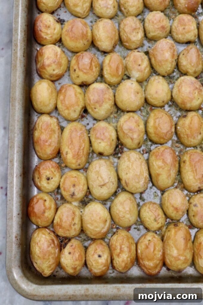 Roasted Small Potatoes 7 Roasted baby potatoes, golden and crispy, fresh out of the oven on the baking sheet.